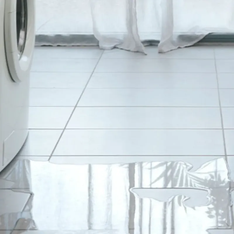 Appliance Leak Cleanup in Elgin, IL