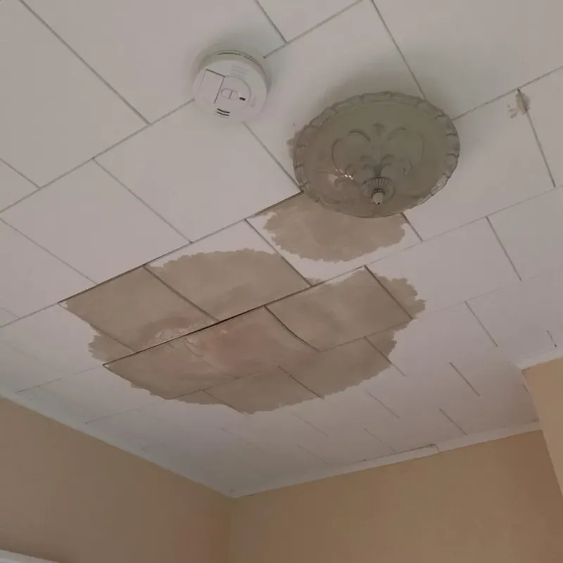 Ceiling Water Damage Repair in Elgin, IL