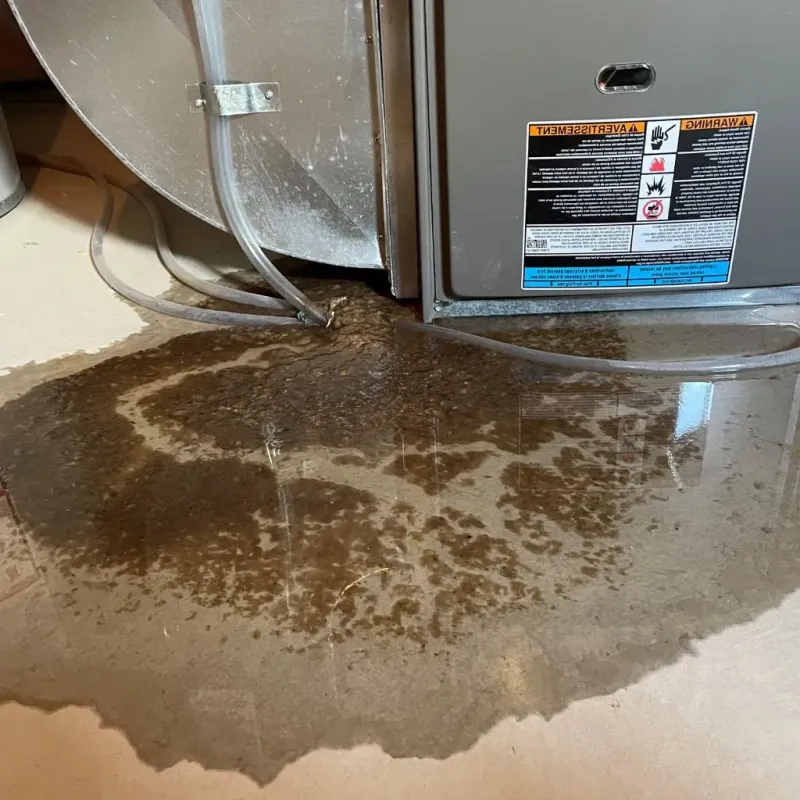 Pipe Burst and Leak Restoration in Elgin, IL