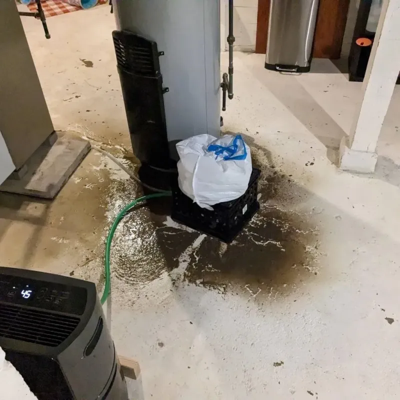 Sewage Backup Cleanup Service in Elgin, IL